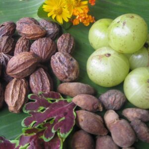 Vortrag: Die 10 wichtigsten Heilpflanzen und Kräuterrezepturen des Ayurveda – verständlich erklärt von Dr. Bhargav Jategaonkar